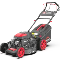 Газонокосилка бензиновая самоходная Sunreka™ GLM53HSE